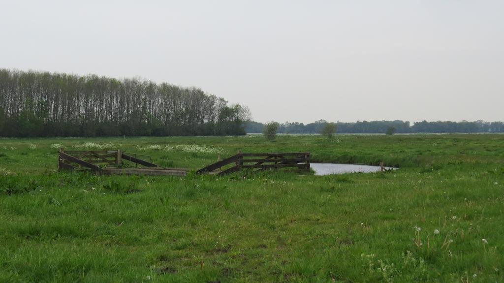 'T Zwanemeer Gieten Exteriér fotografie