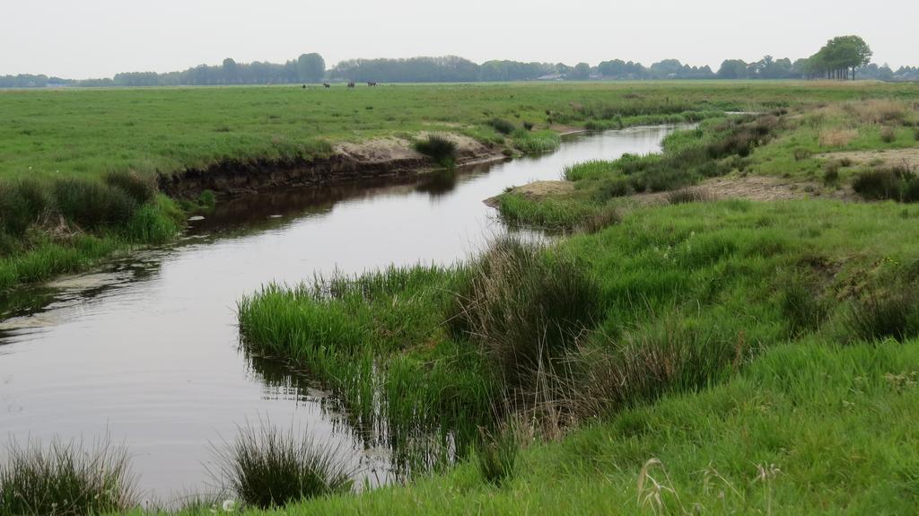 'T Zwanemeer Gieten Exteriér fotografie