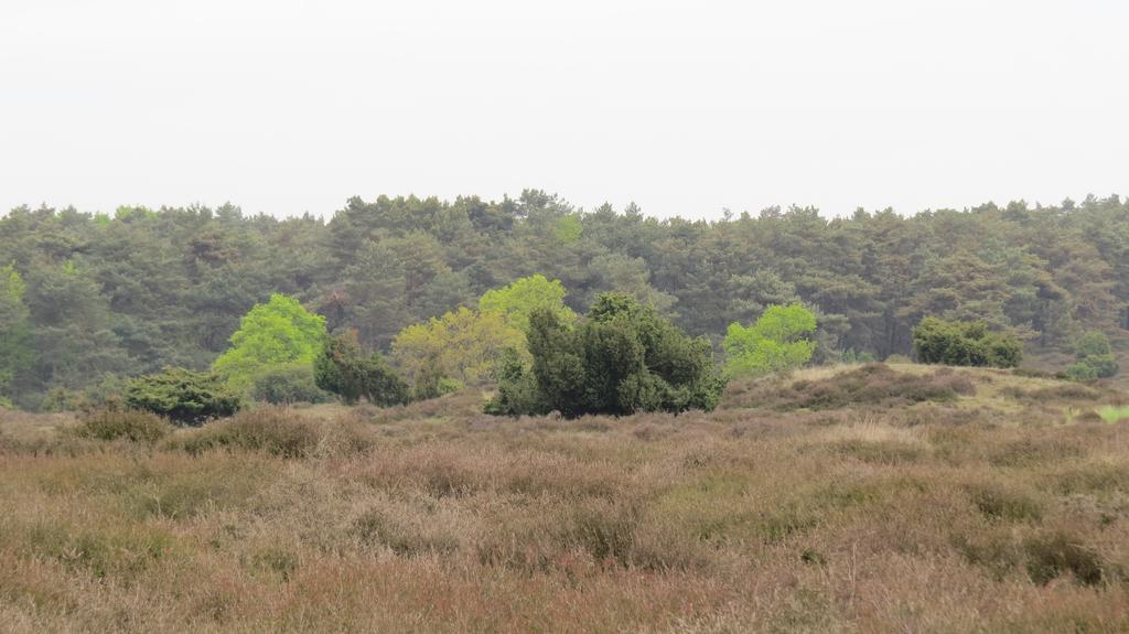 'T Zwanemeer Gieten Exteriér fotografie